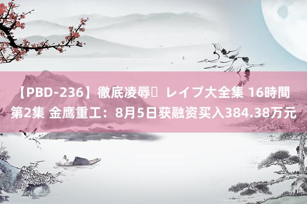 【PBD-236】徹底凌辱・レイプ大全集 16時間 第2集 金鹰重工：8月5日获融资买入384.38万元