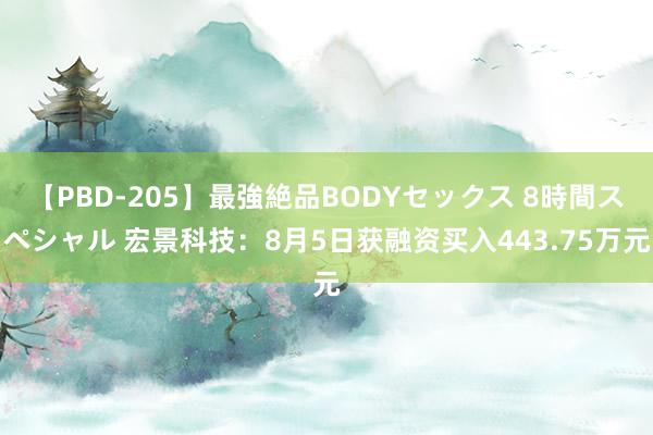 【PBD-205】最強絶品BODYセックス 8時間スペシャル 宏景科技：8月5日获融资买入443.75万元