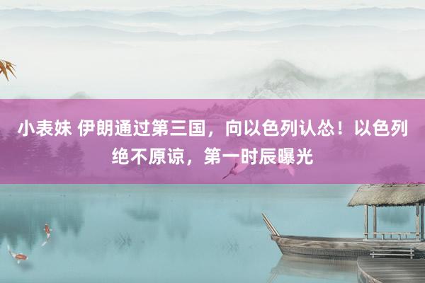 小表妹 伊朗通过第三国，向以色列认怂！以色列绝不原谅，第一时辰曝光