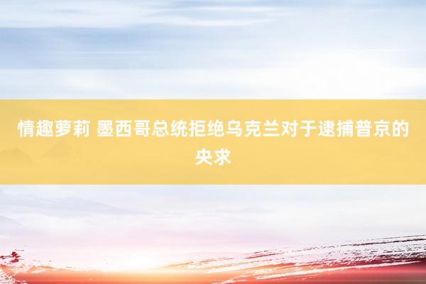 情趣萝莉 墨西哥总统拒绝乌克兰对于逮捕普京的央求