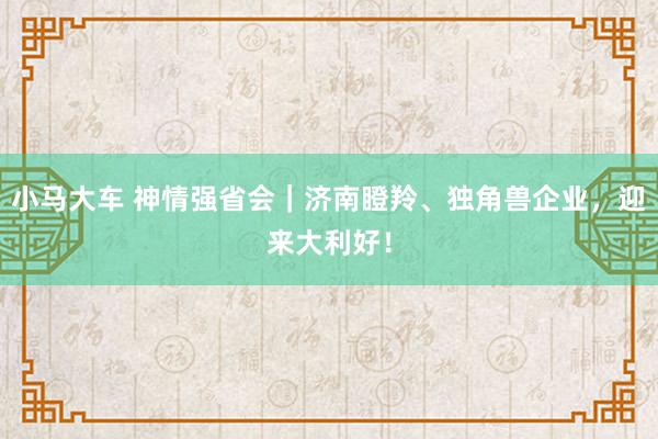 小马大车 神情强省会｜济南瞪羚、独角兽企业，迎来大利好！