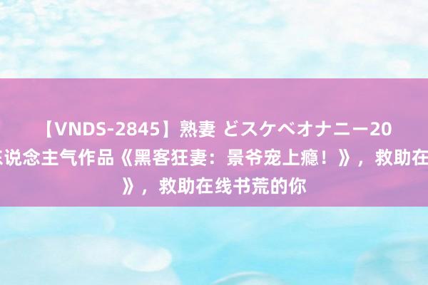 【VNDS-2845】熟妻 どスケベオナニー20連発！！ 东说念主气作品《黑客狂妻：景爷宠上瘾！》，救助在线书荒的你