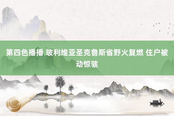 第四色播播 玻利维亚圣克鲁斯省野火复燃 住户被动惊骇