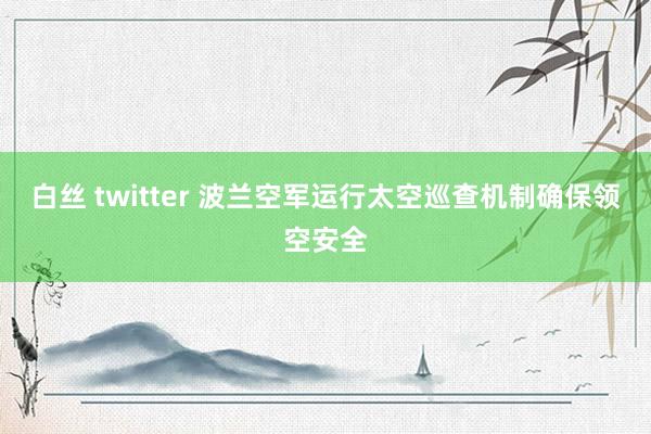 白丝 twitter 波兰空军运行太空巡查机制确保领空安全