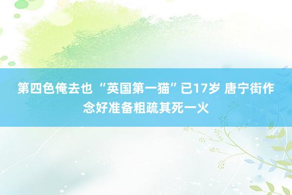 第四色俺去也 “英国第一猫”已17岁 唐宁街作念好准备粗疏其死一火