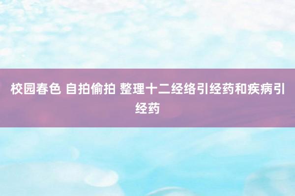 校园春色 自拍偷拍 整理十二经络引经药和疾病引经药