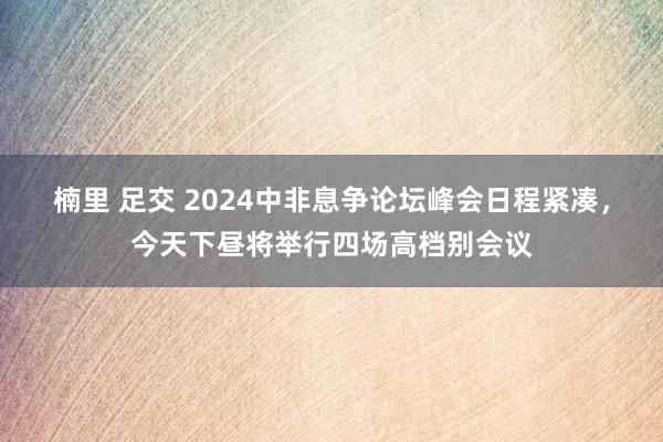 楠里 足交 2024中非息争论坛峰会日程紧凑，今天下昼将举行四场高档别会议