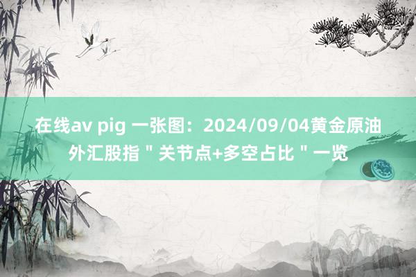 在线av pig 一张图：2024/09/04黄金原油外汇股指＂关节点+多空占比＂一览