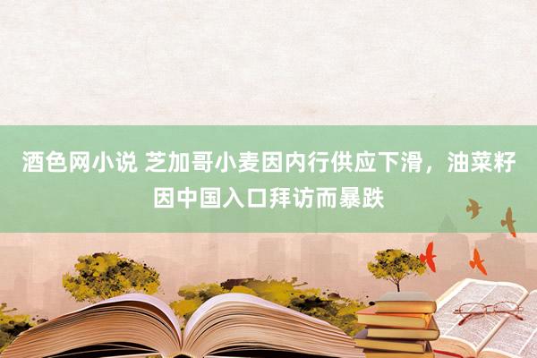 酒色网小说 芝加哥小麦因内行供应下滑，油菜籽因中国入口拜访而暴跌