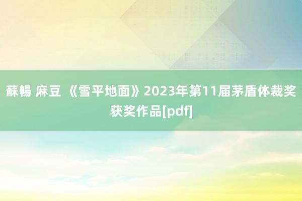 蘇暢 麻豆 《雪平地面》2023年第11届茅盾体裁奖获奖作品[pdf]