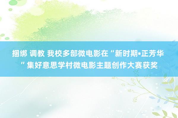 捆绑 调教 我校多部微电影在“新时期•正芳华 ”集好意思学村微电影主题创作大赛获奖