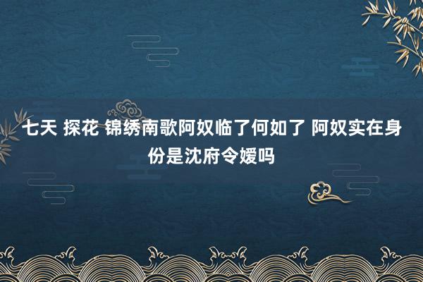 七天 探花 锦绣南歌阿奴临了何如了 阿奴实在身份是沈府令嫒吗