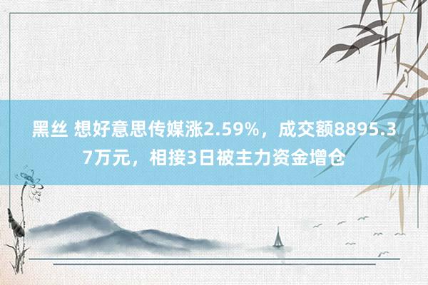 黑丝 想好意思传媒涨2.59%，成交额8895.37万元，相接3日被主力资金增仓